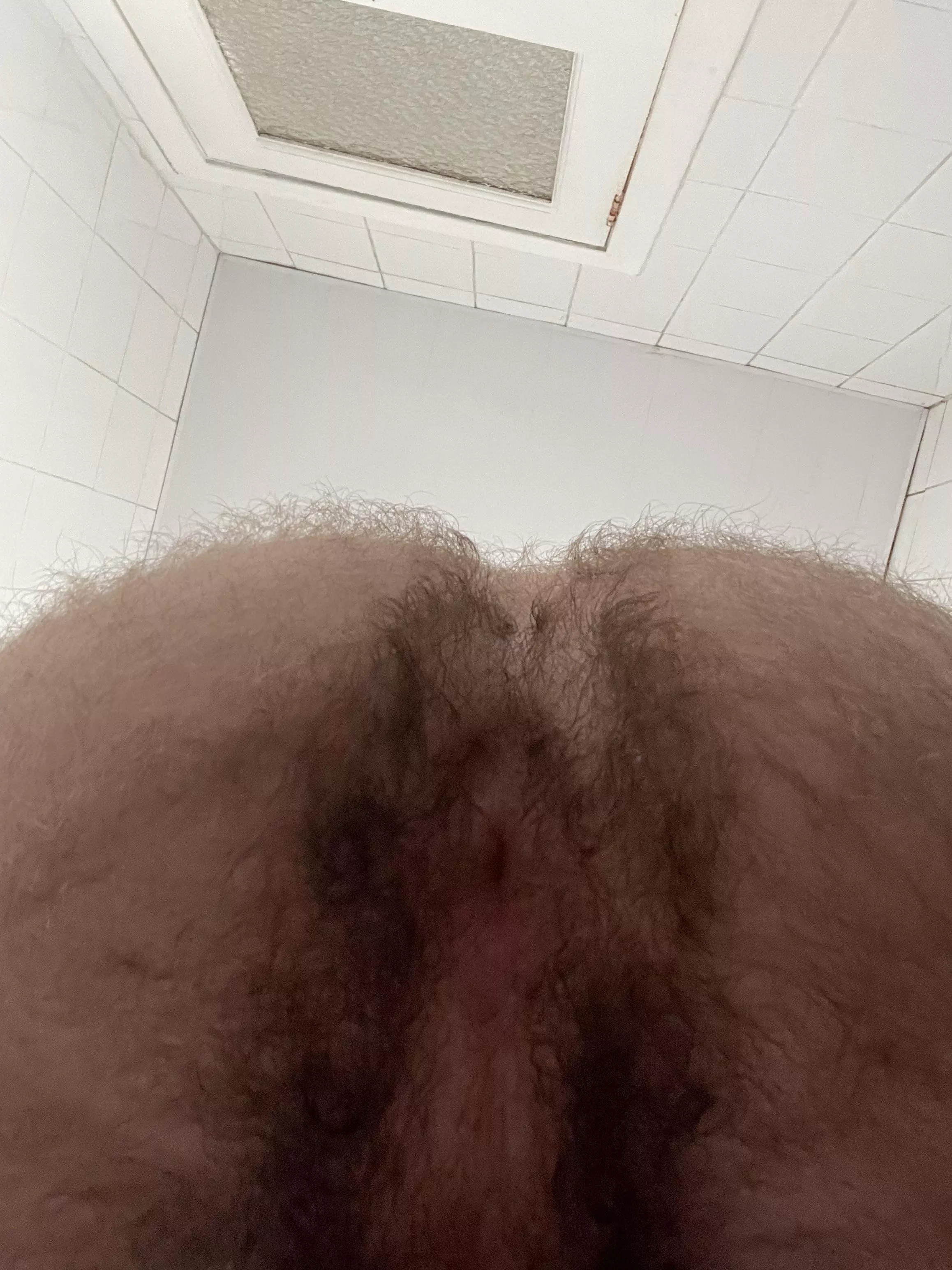 My hole as I’m sitting on your face  posted by Hefty_Time9668