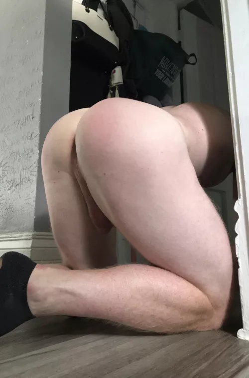 Round ass was made for something hard  by Right-Demand8400