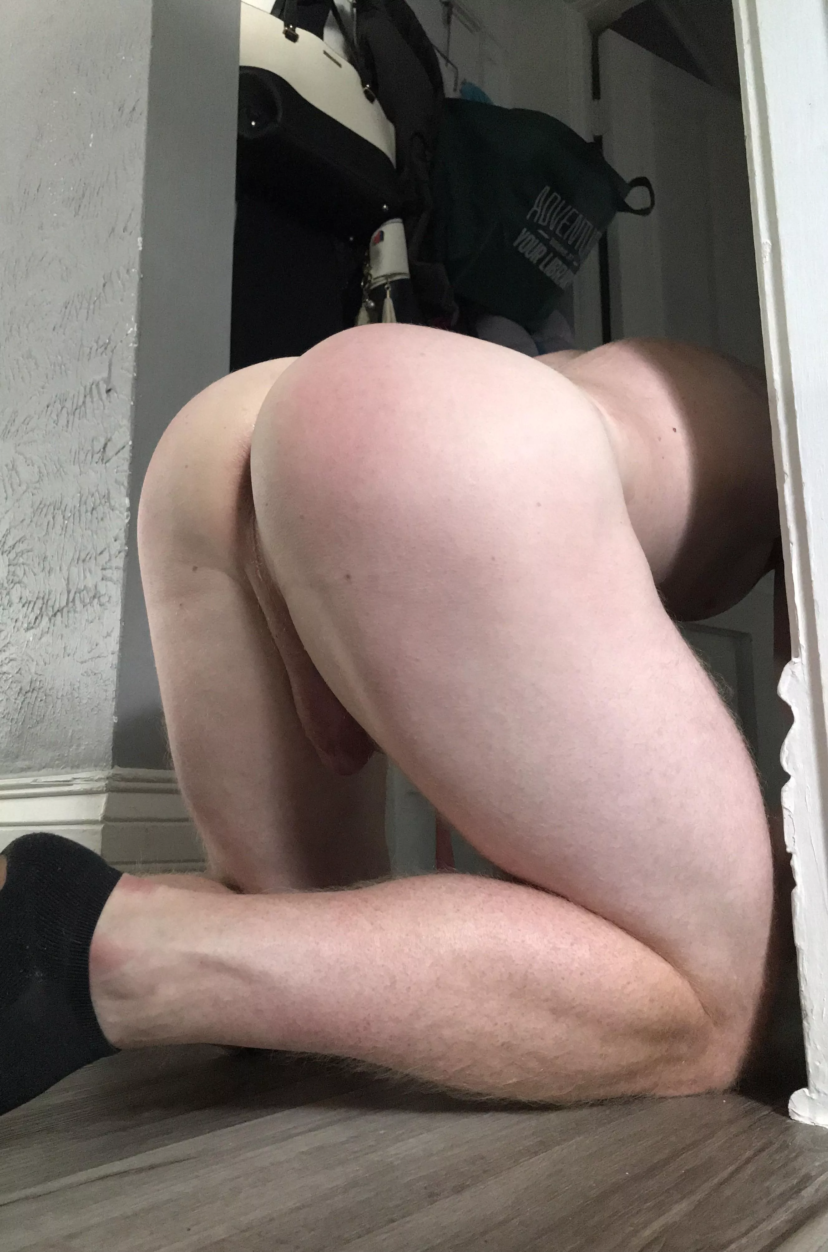 Round ass was made for something hard  posted by Right-Demand8400