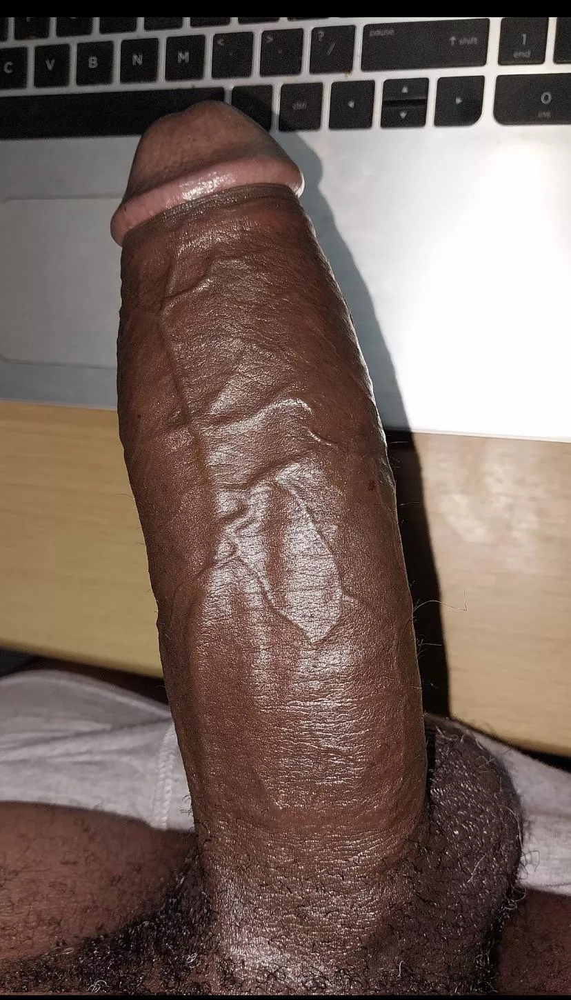 Wake up early  posted by Romero-family