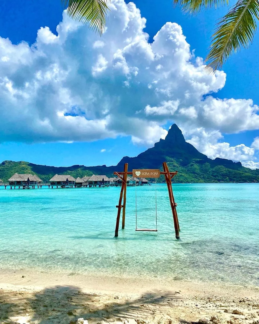 What about relaxing on that sea swing?😍🏝🌊💚 posted by Mosang06