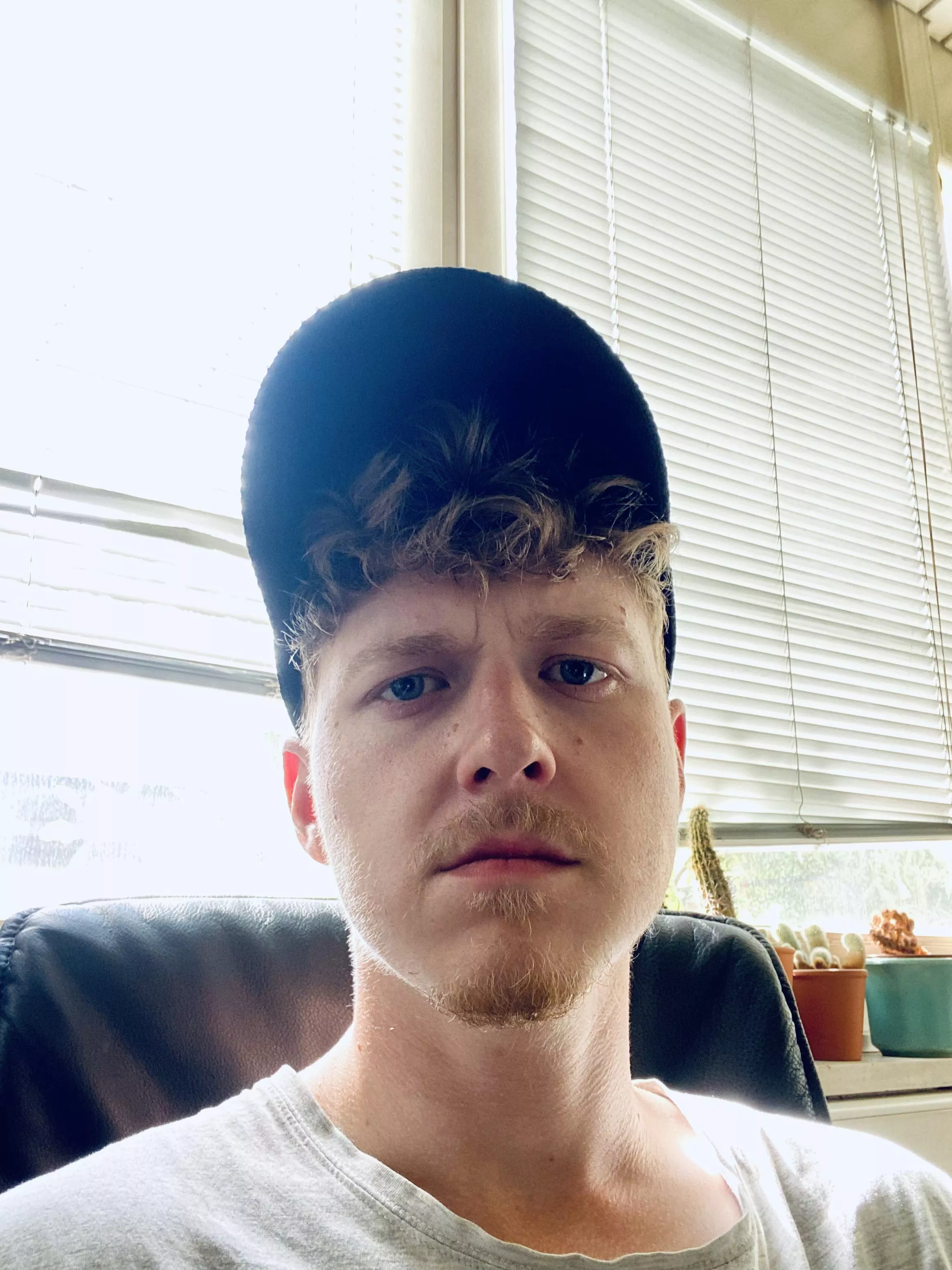 What do you usually do on Sundays ?  posted by ImLeeTheBee