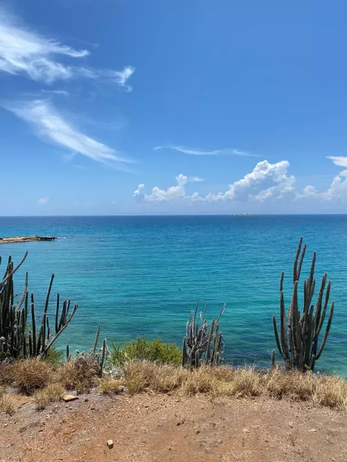 Caribbean sea hits different😮‍💨 by PaolaLag