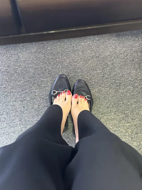 Come get a sniff while I’m at work? by ConsequenceOk6256