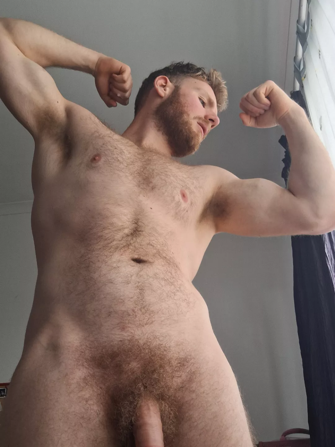 Could you resist the fuzz? posted by LiamLarson