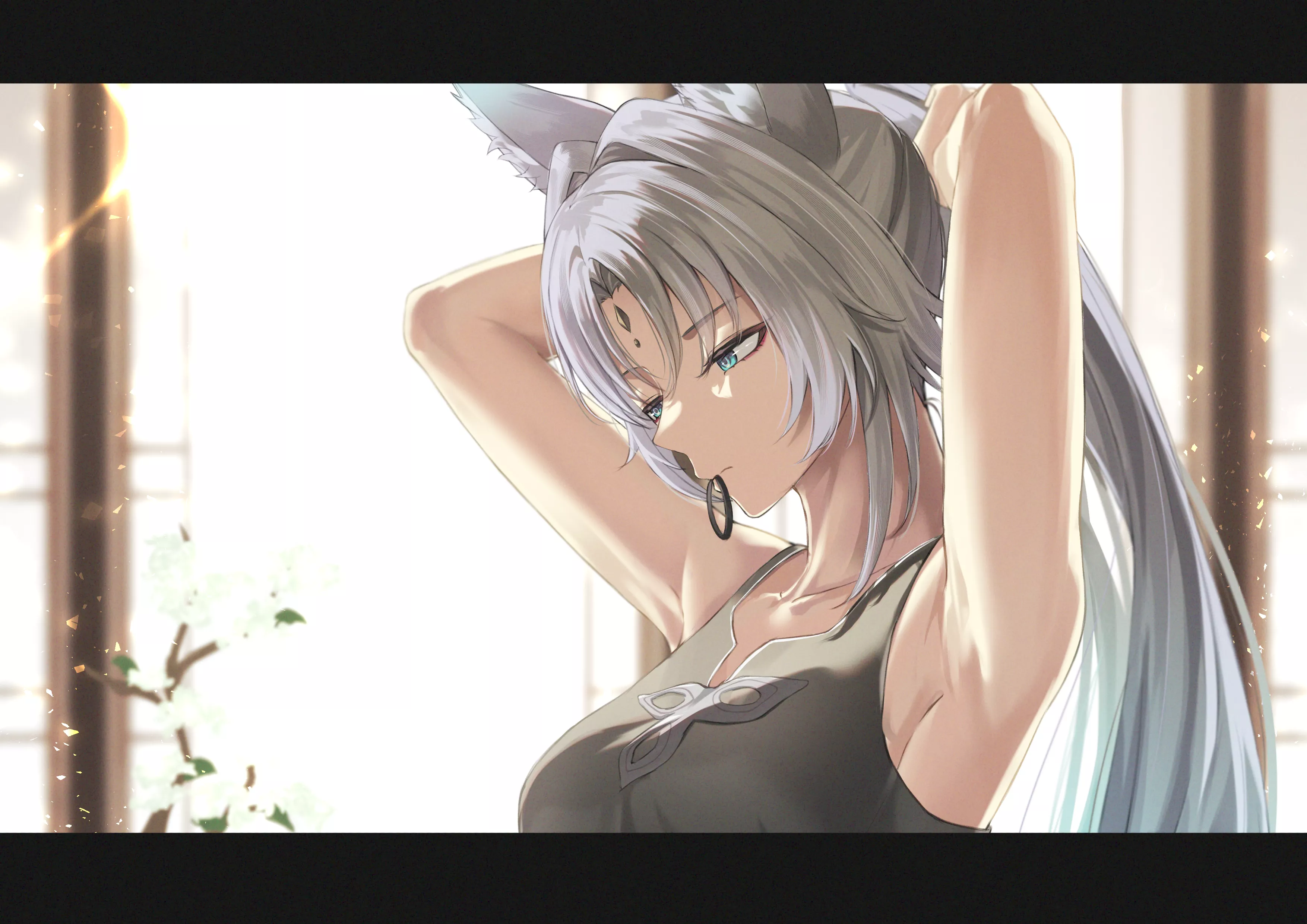 Feixiao's pit posted by Meatball_1234