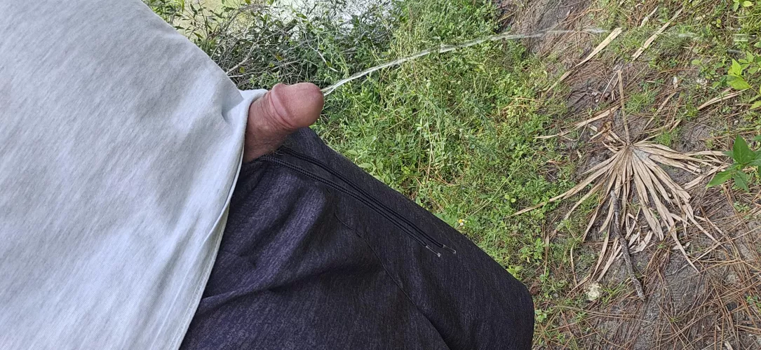 Hoping someone comes along to shake it by Mr_Thik_Dik