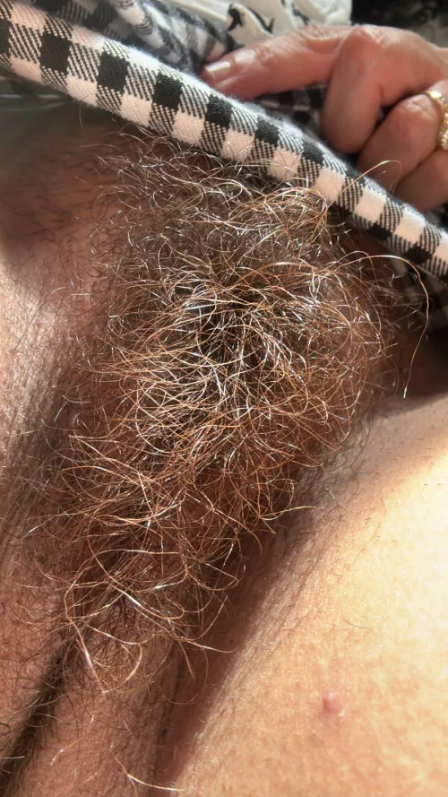 I've never trimmed the middle ever by lickedyslit