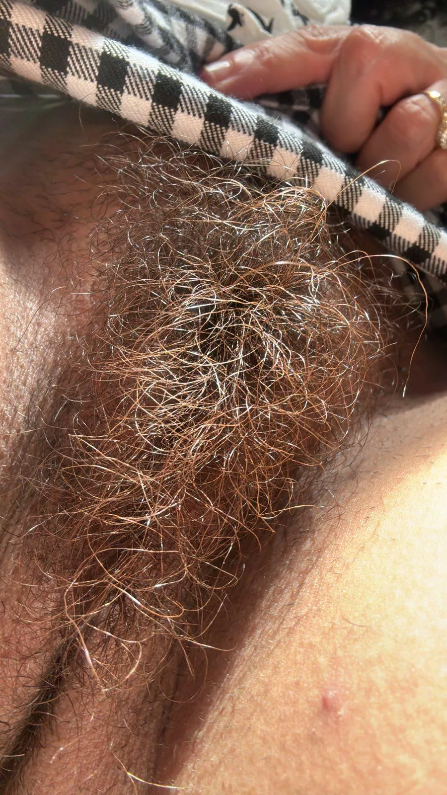I've never trimmed the middle ever posted by lickedyslit