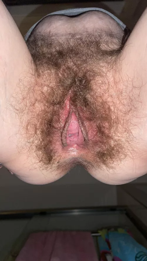 My toilets view of me sitting my HAIRY PUSSY onto it by TacoTuesdaysNYC