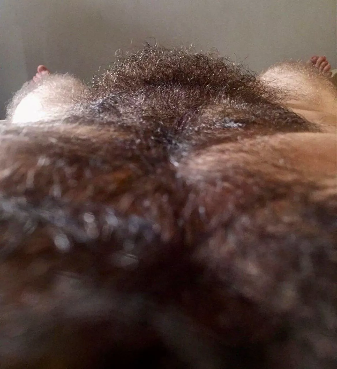 Stopped trimming for awhile now posted by bonhoffer1992