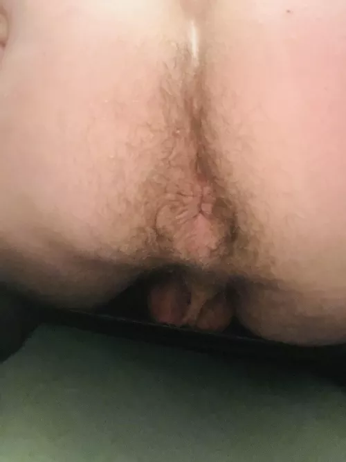 Straight guy here. First asshole pic I have ever taken. Feel free to chat me! by Impressive_You42