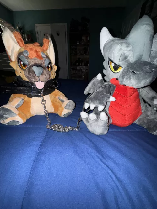 They are getting into it now by bluebird703