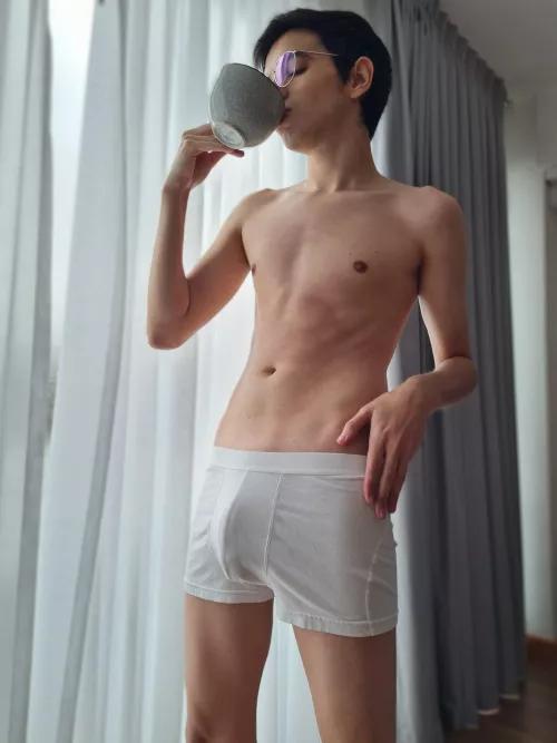 (19) Do you like this Boxer? by nico_fans