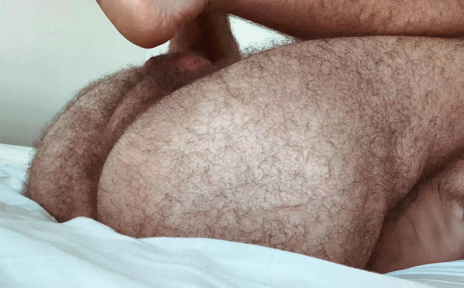 [32] Ready for you posted by Hairyhungvers