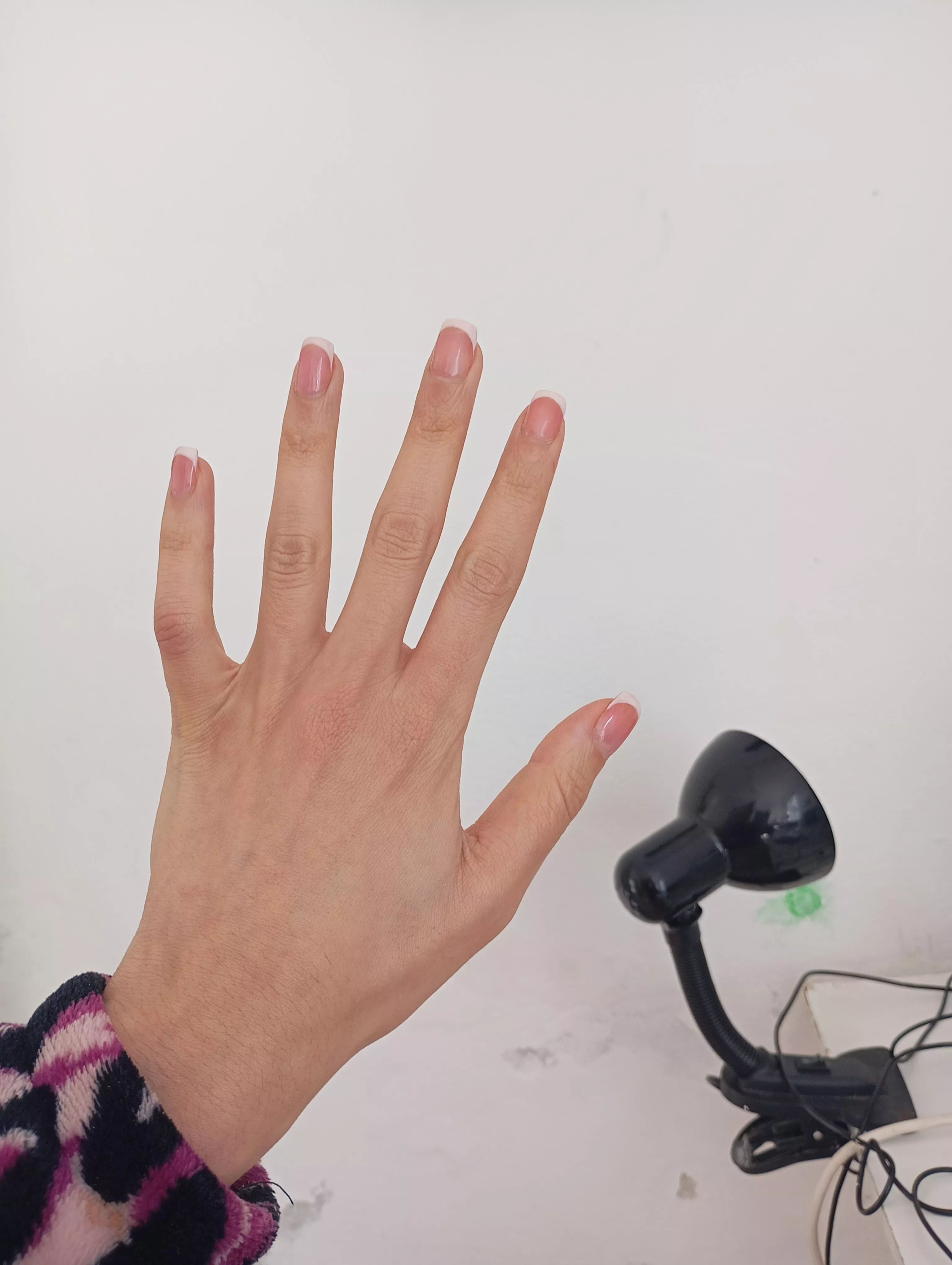 good week my good boys posted by linasenses