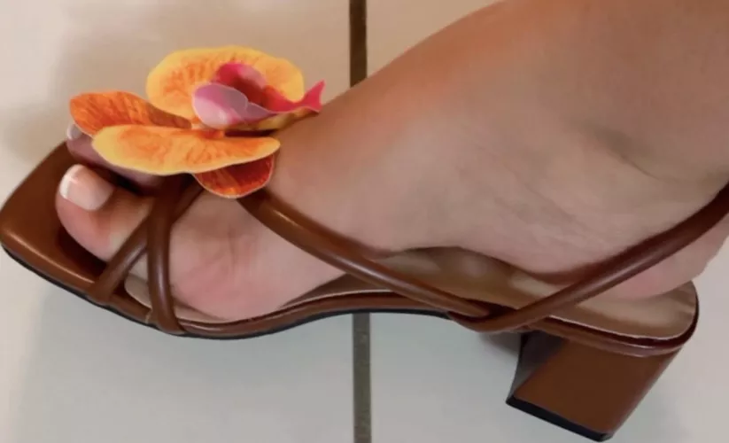 I’m from a tropical place so it’s basically summer all the time 🌺  by AndreaDarklady