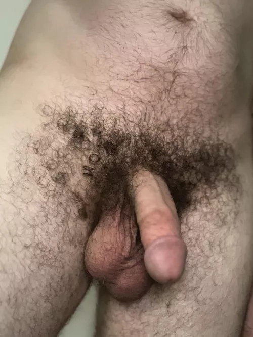 Keep the curls or trim? by Ok_Reindeer9151