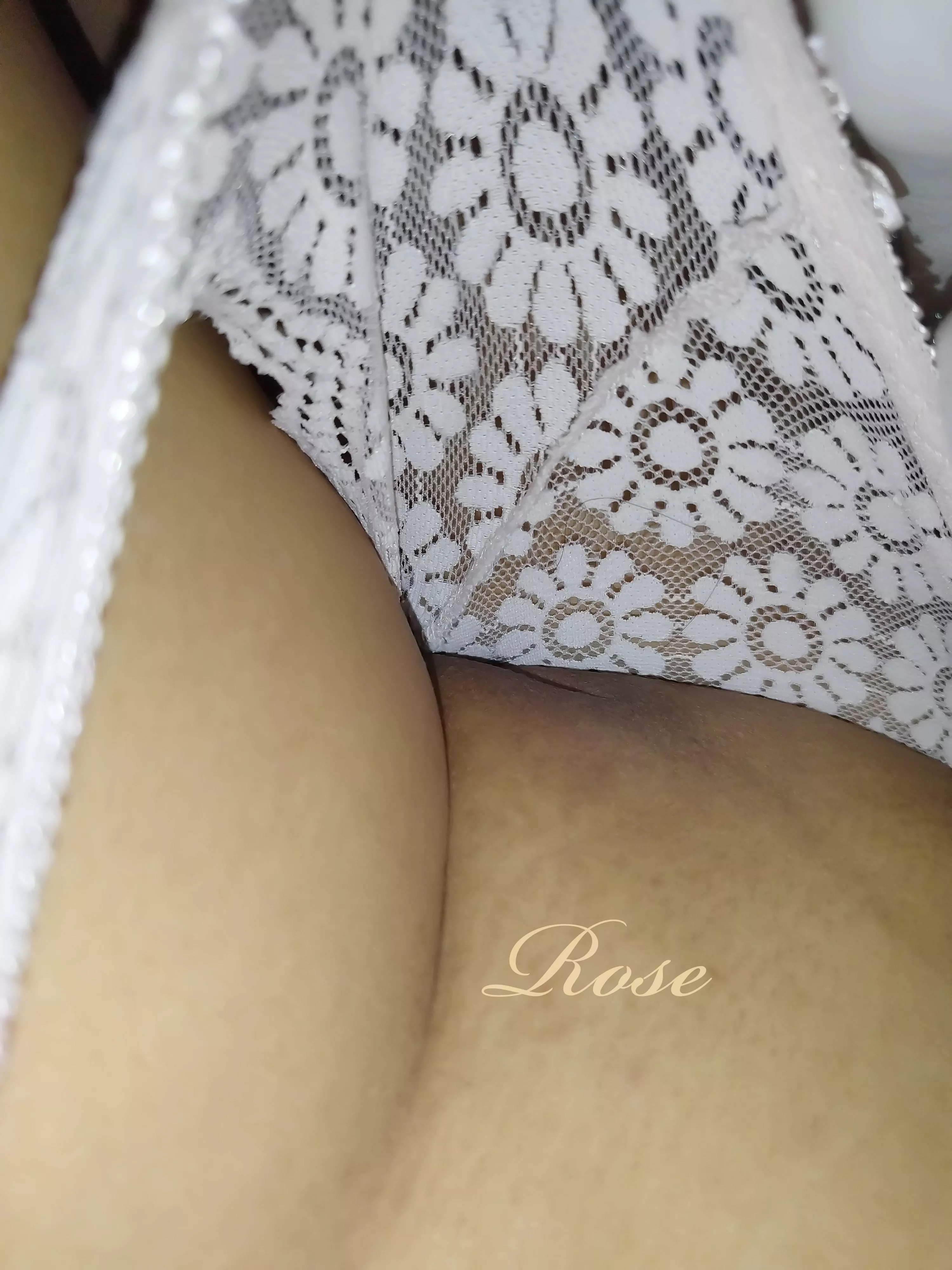 Morning mound  posted by Free_Rose_