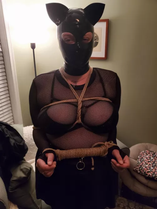 [OC] GF Hooded Kitten by Pir8Rbrts2