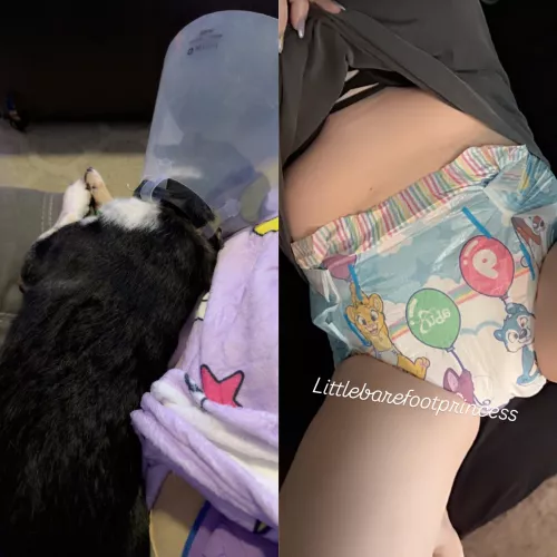 Puppy fund 💔 by lilbarefootprincess