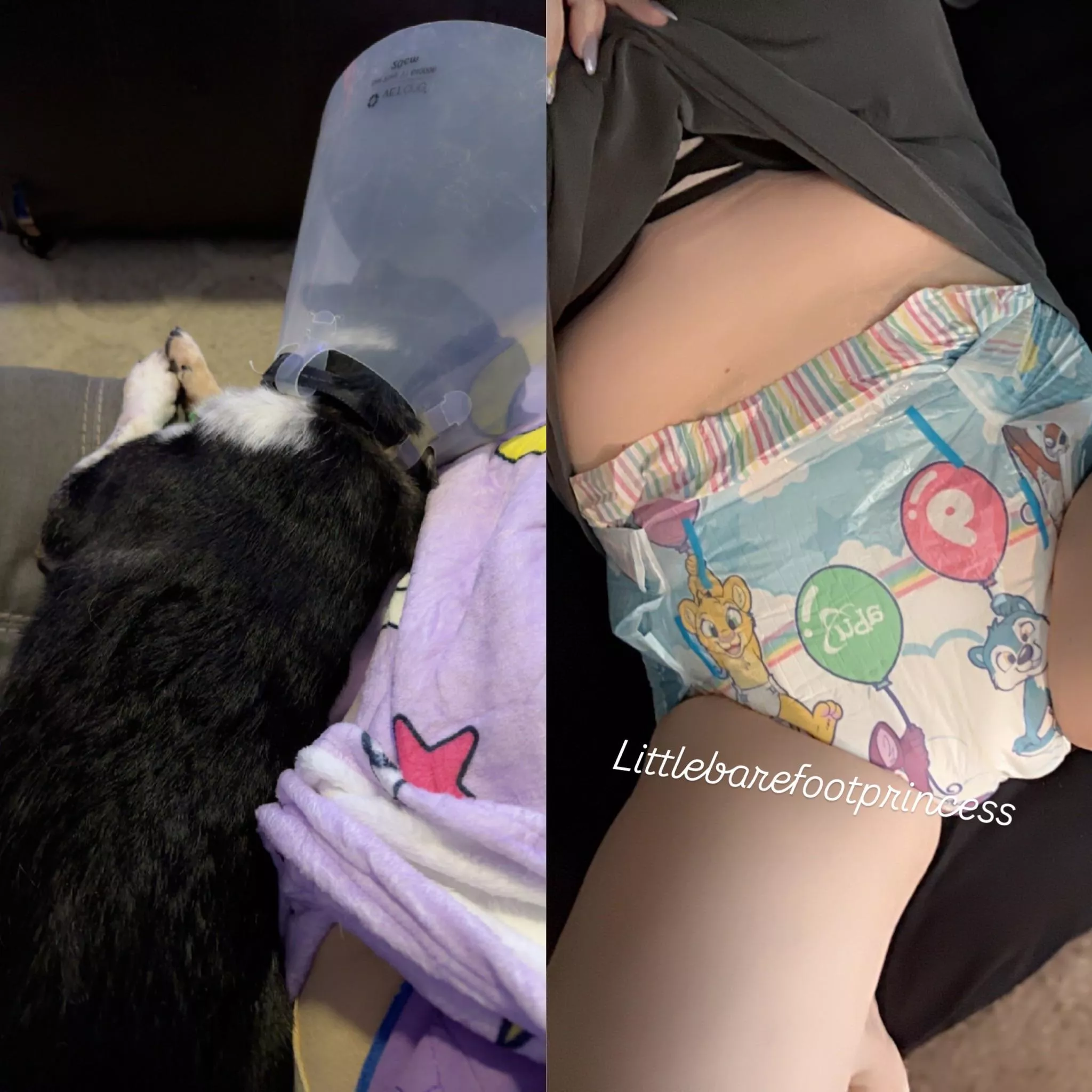 Puppy fund 💔 posted by lilbarefootprincess