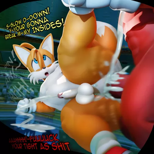 Tails and Knuckles (Artist:VulkYasha) by White-Whiskey