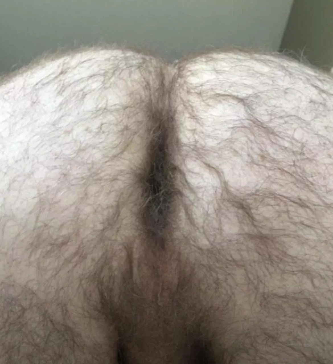 Anyone into musky hairy daddy ass? posted by jock-dad