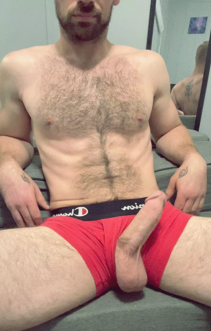 Comb my beard? I have the perfect seat! posted by dj-minato