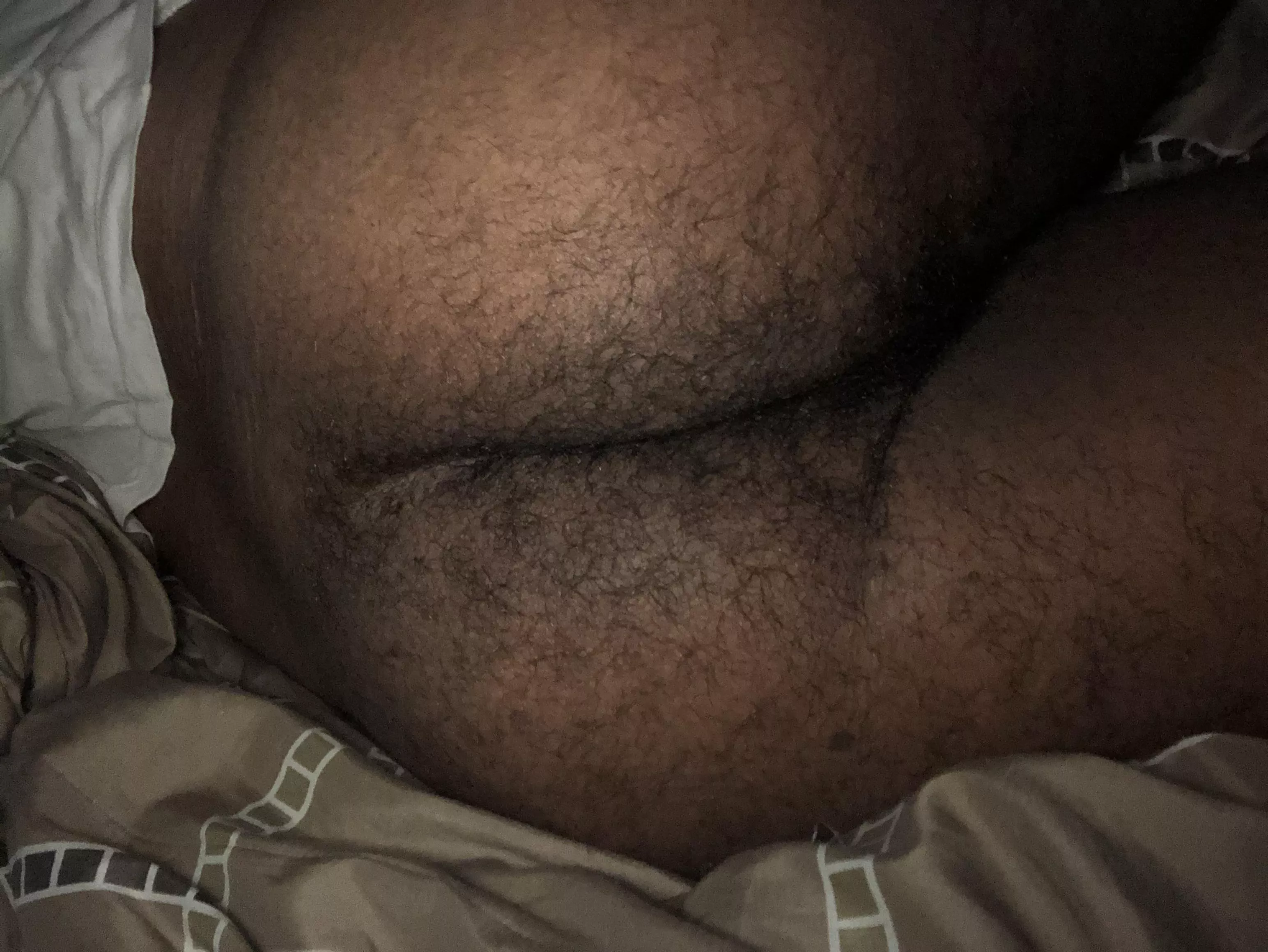 do you like what you see? posted by Moist-Duty229