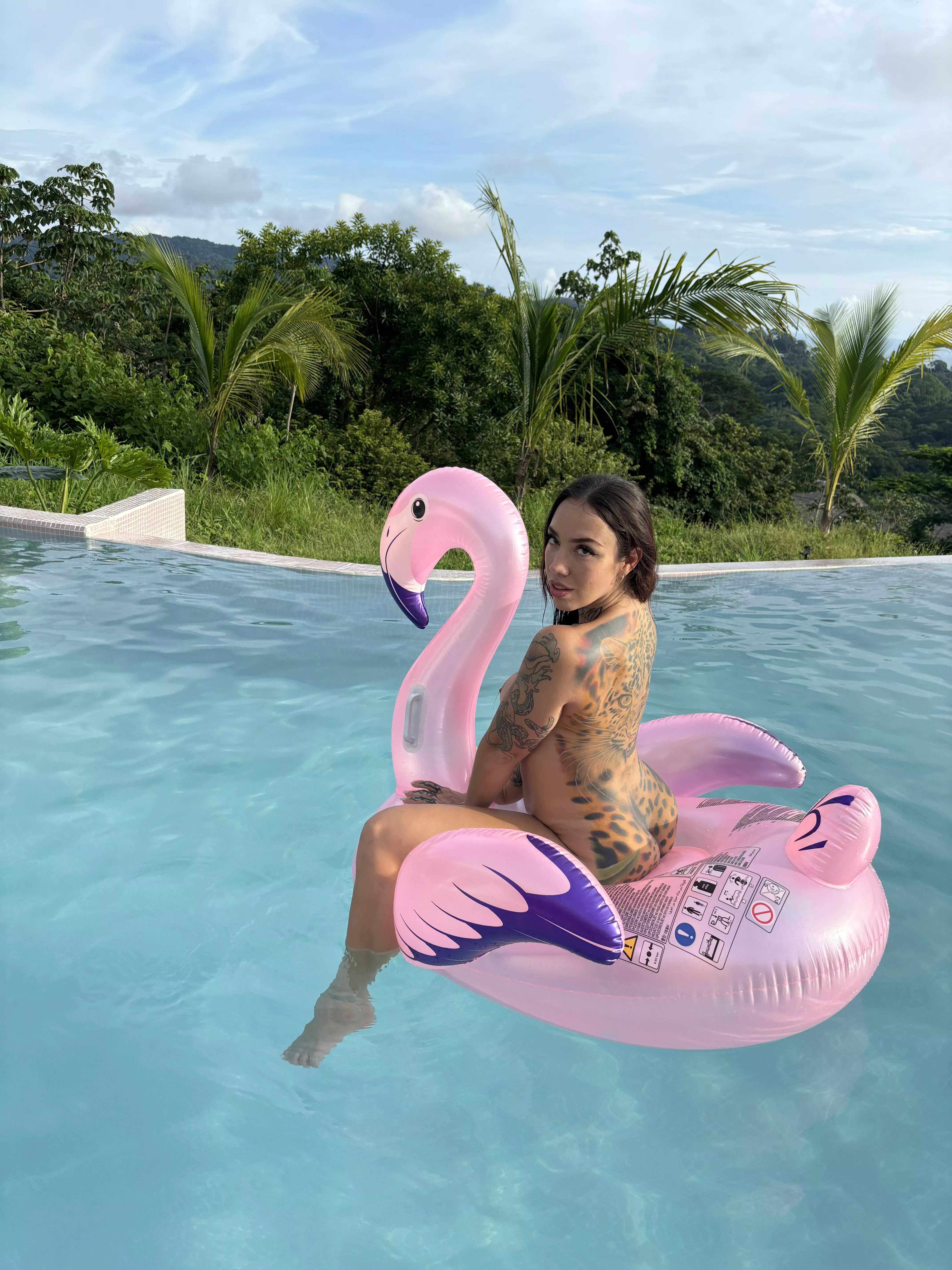 From my pool  posted by Socanuma