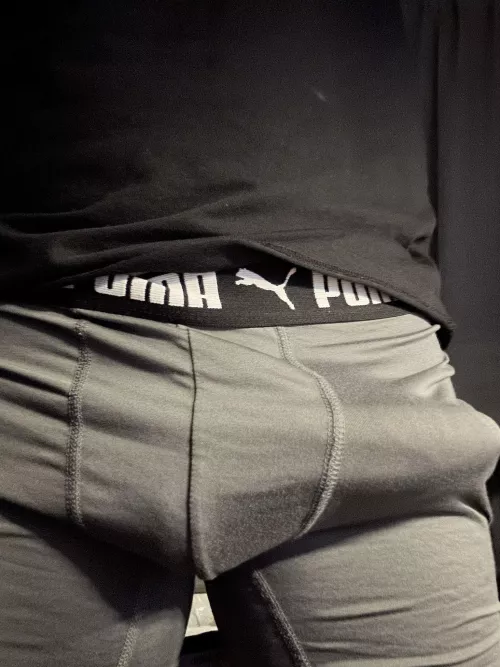 He’s always trying to get out (25) by immoaninghard