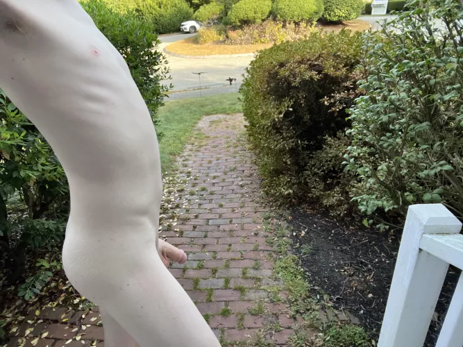 Hump day! Who’s ready  by Hairy_Log6055