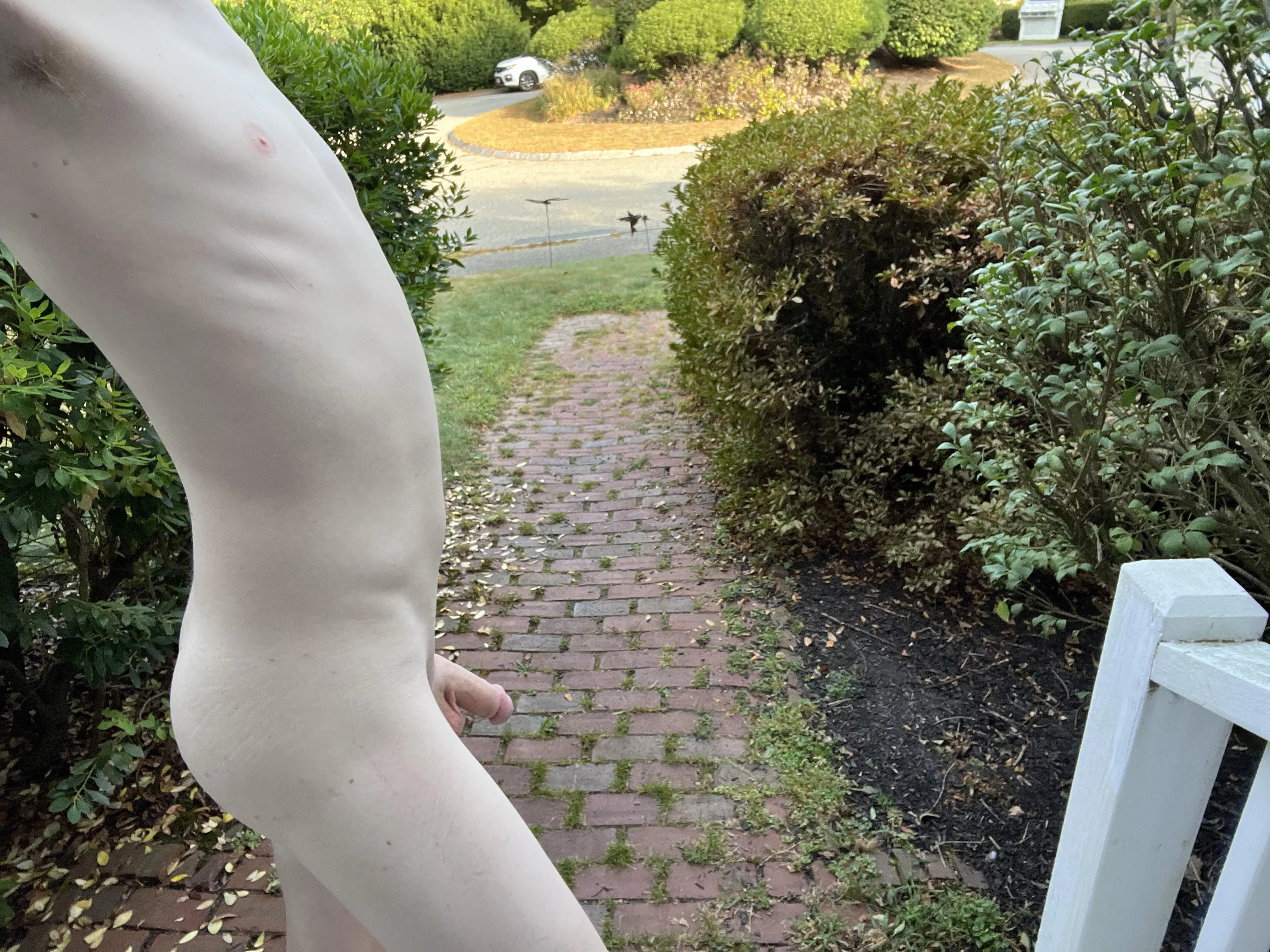 Hump day! Who’s ready  posted by Hairy_Log6055