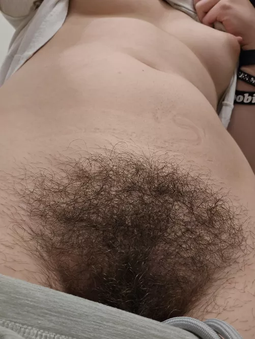 Is it bushy enough by electronicnotetaker