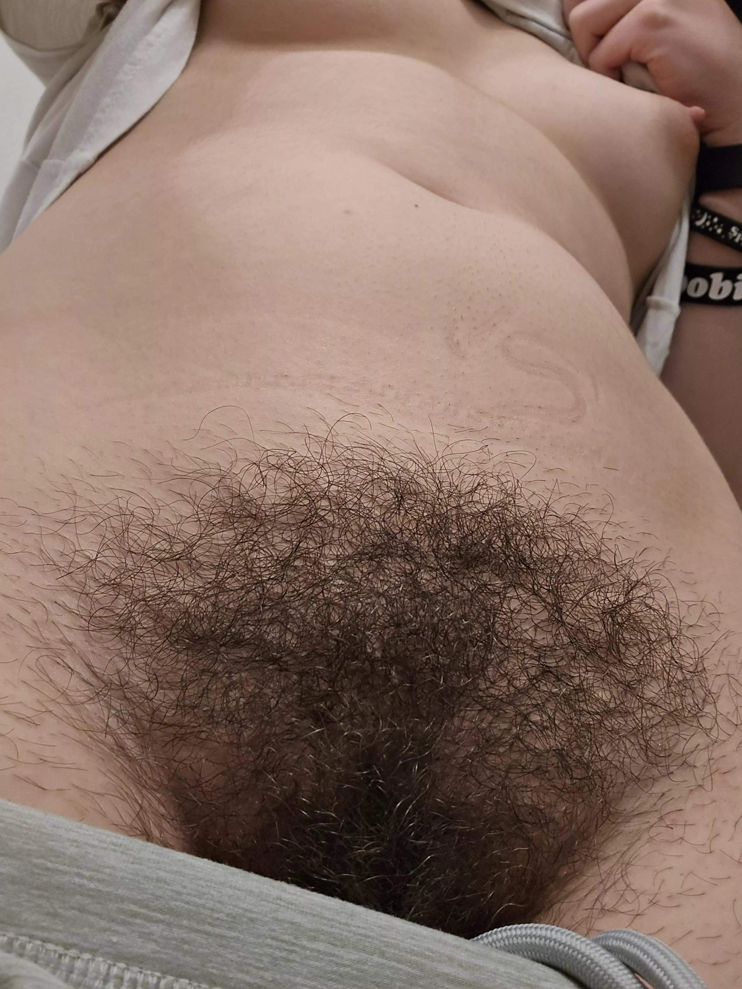 Is it bushy enough posted by electronicnotetaker