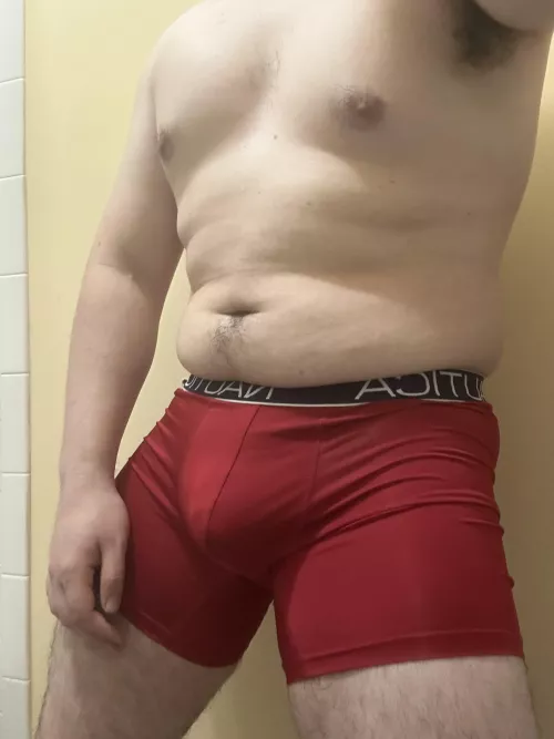 Like boxer briefs? by AnonymousSock12