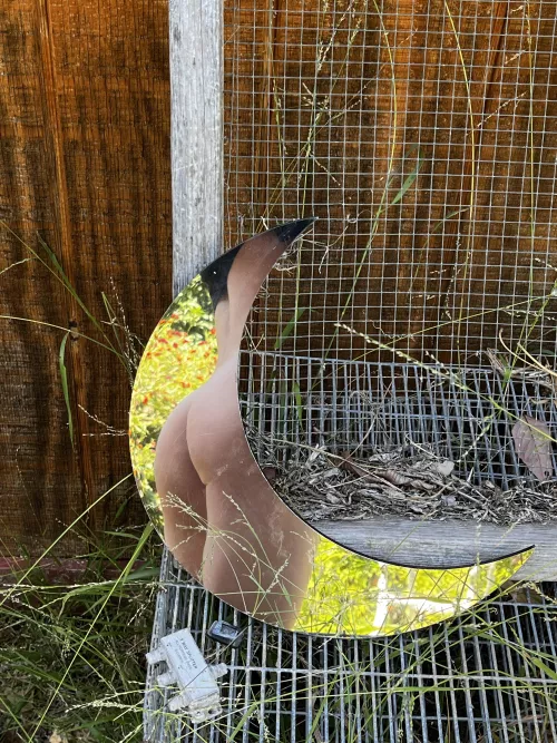 reflection  by idkyimtr