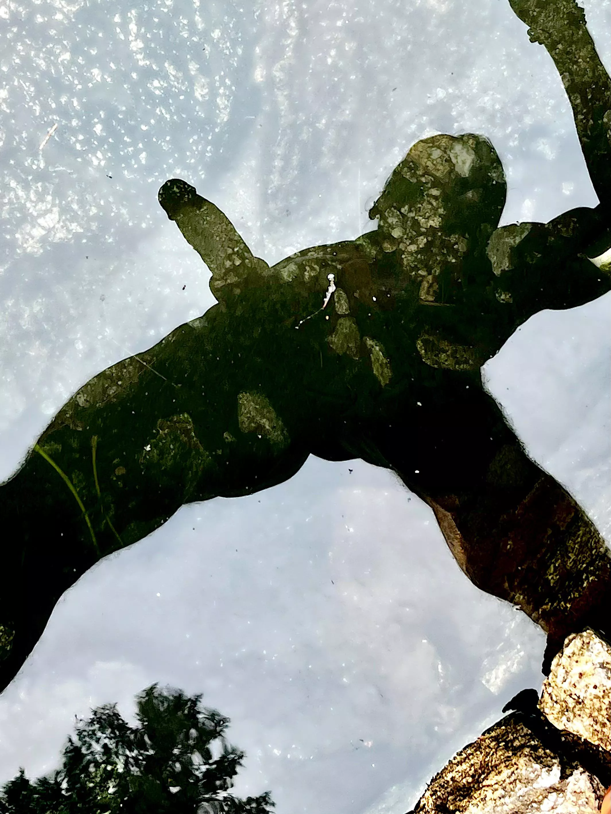 Something to reflect on  posted by andjerews