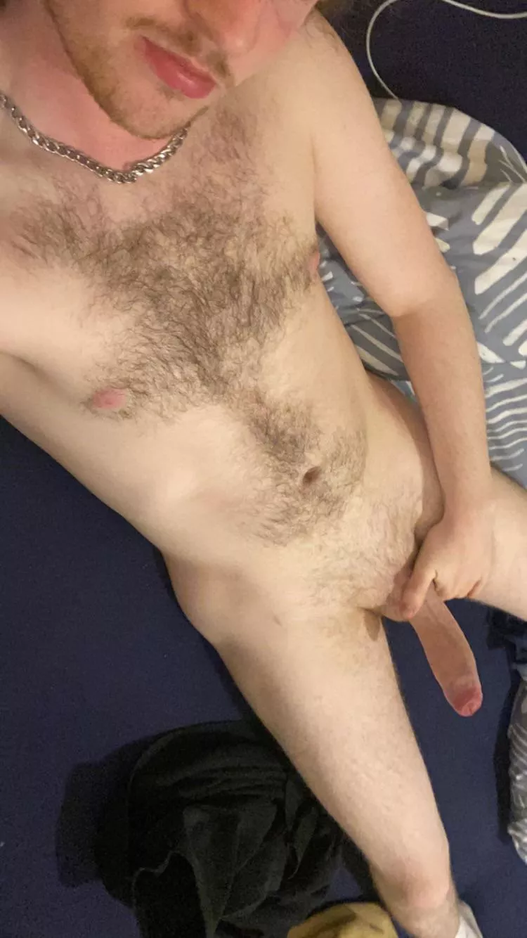 23 Irish vers top, jcent4  posted by johnnycent12345