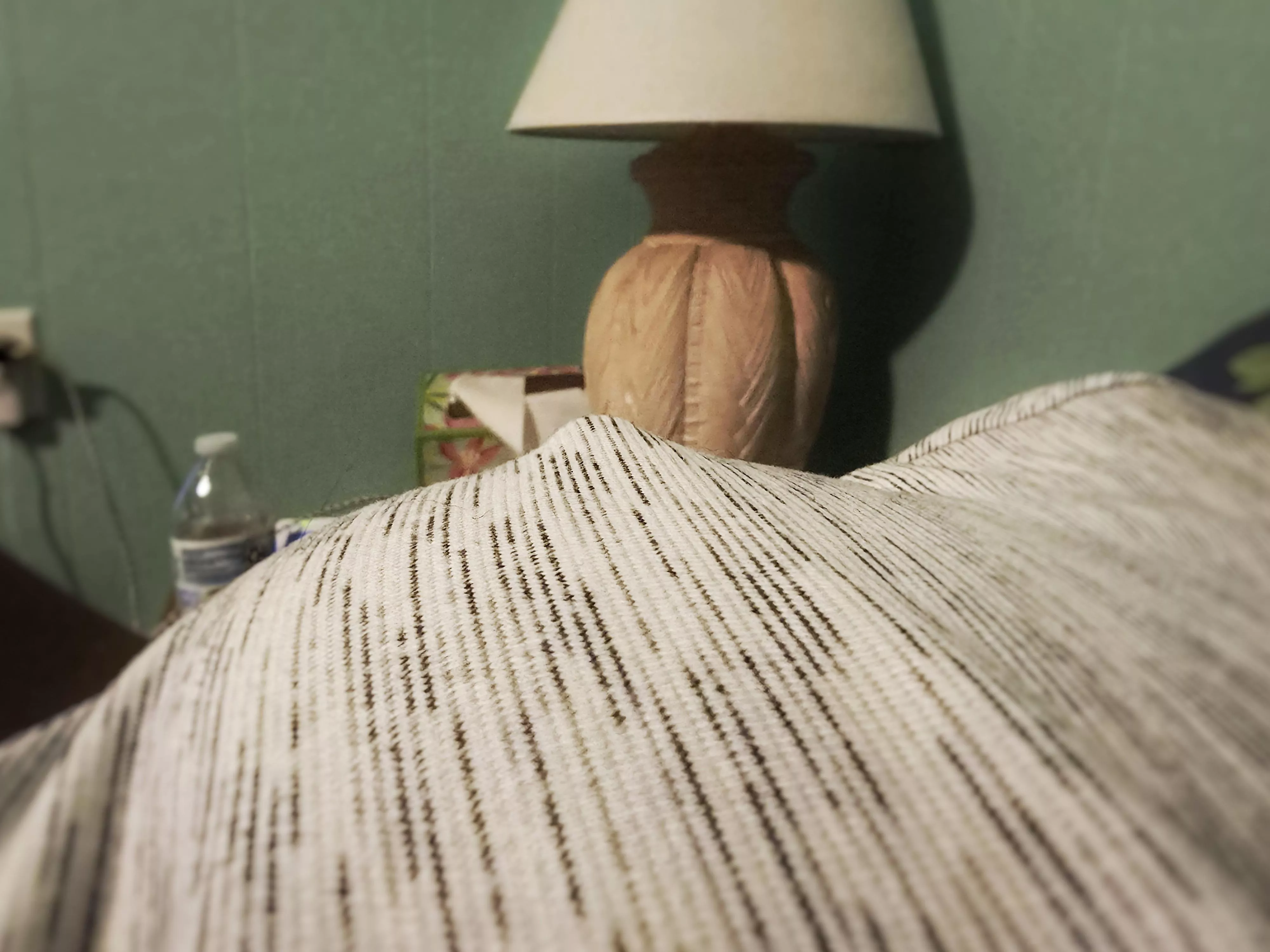 A thin top and perky pokie. Perfect combination  posted by BriannaSnowOF