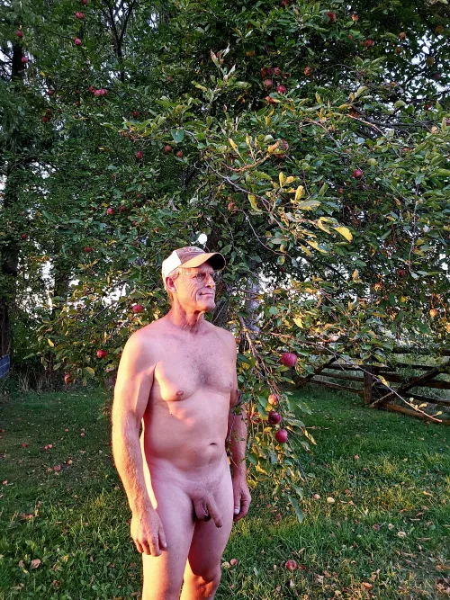 Enjoying a great evening walking in the orchard  by Few-Palpitation8993