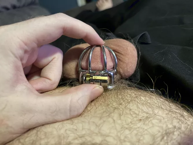 Gearing up for Locktober, been a while since I’ve done an extensive lock.  by Imaginary-Dog163