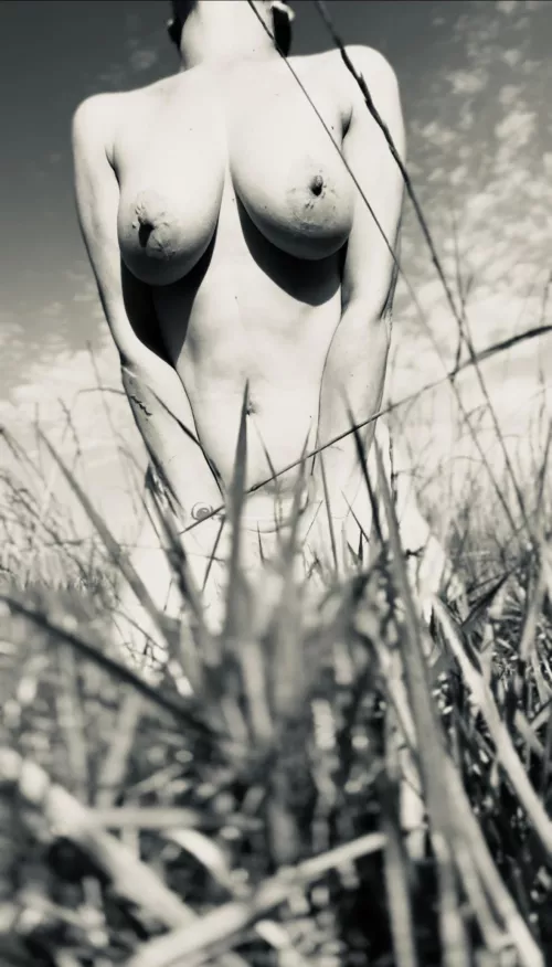 Hiding in the grass  by MissAnastasiaGray