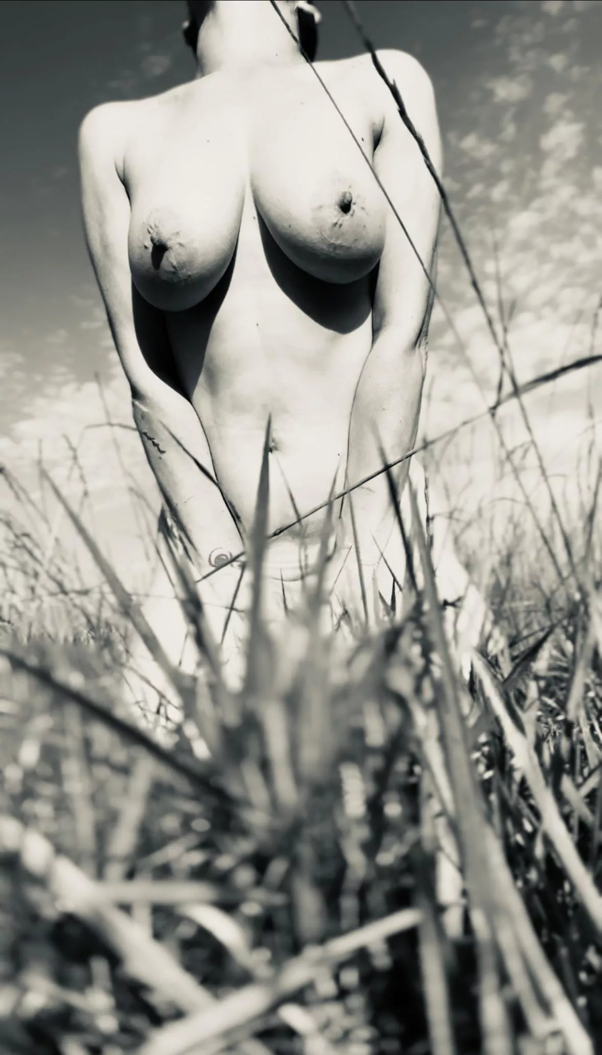 Hiding in the grass  posted by MissAnastasiaGray