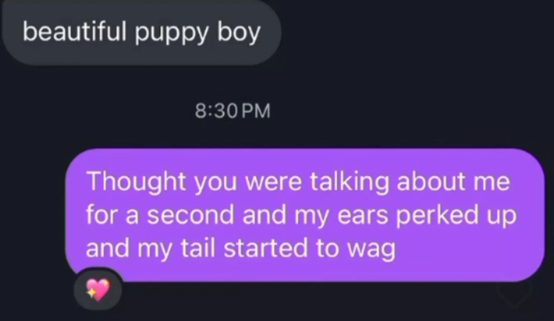 I'm just a (puppy) boy 🎀 posted by LeashMePls