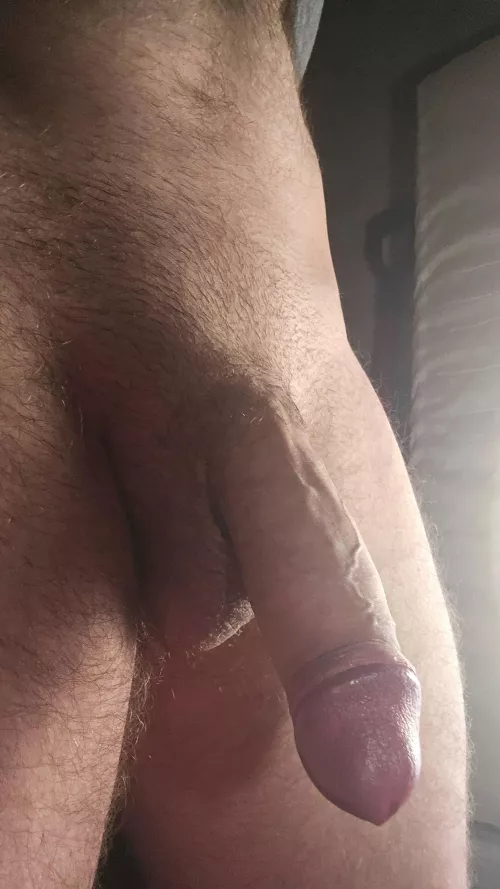 Longing to stretch (23)  by Sierrasax