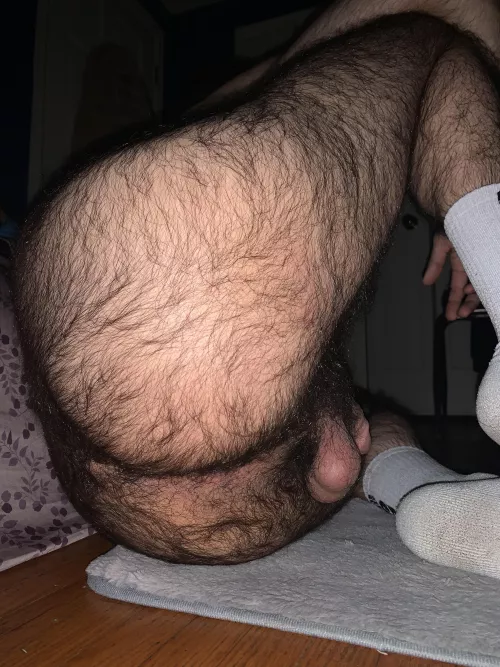My hairy college ass by Prestigious_Sky_5043