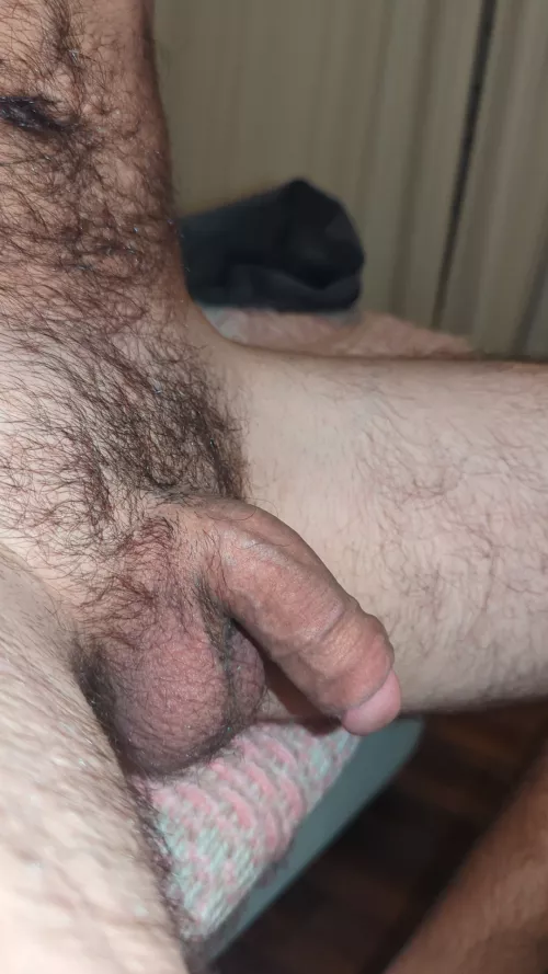 Resting (30) by icanhazacheeseburger