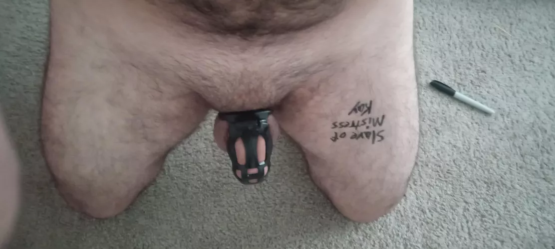Slave humiliation posting by screamingorca15